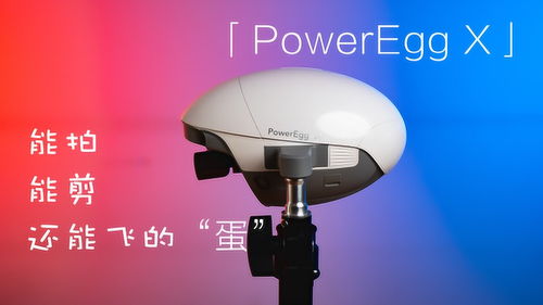 年前我们收到了一个蛋,能拍能剪还能飞的蛋
